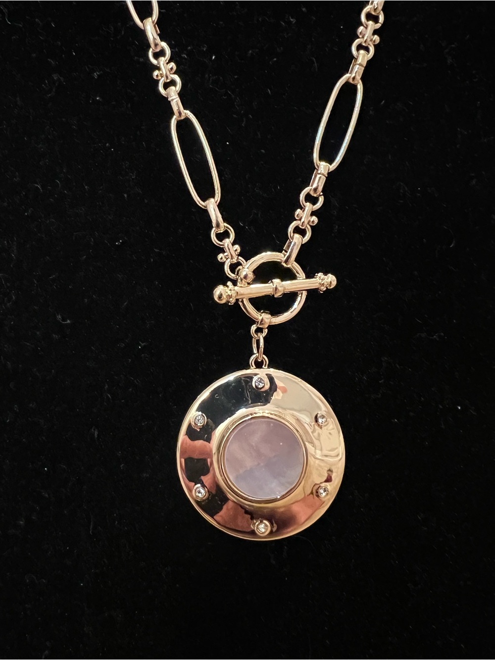 LOFT Gold Chain Necklace with Circular Pendant - Women Jewelry